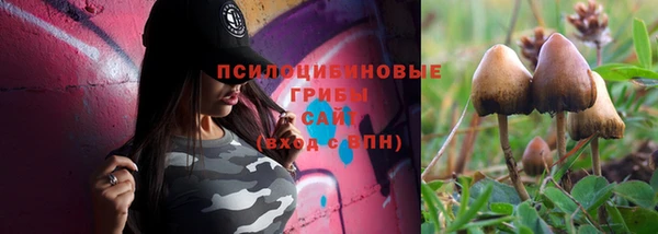 тгк Белокуриха