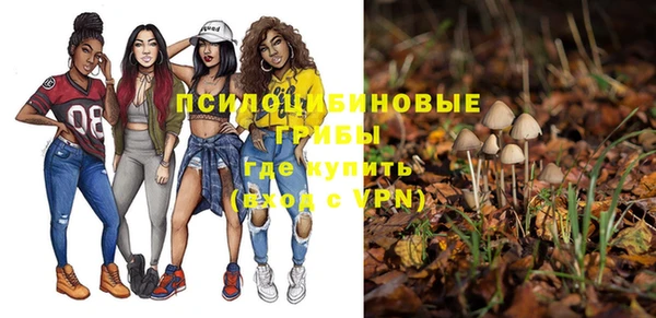 тгк Белокуриха
