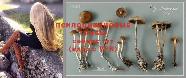 MDMA Беломорск