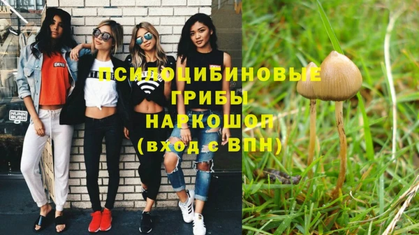 MDMA Беломорск