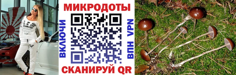 ОМГ ОМГ рабочий сайт  Минеральные Воды  Псилоцибиновые грибы GOLDEN TEACHER 