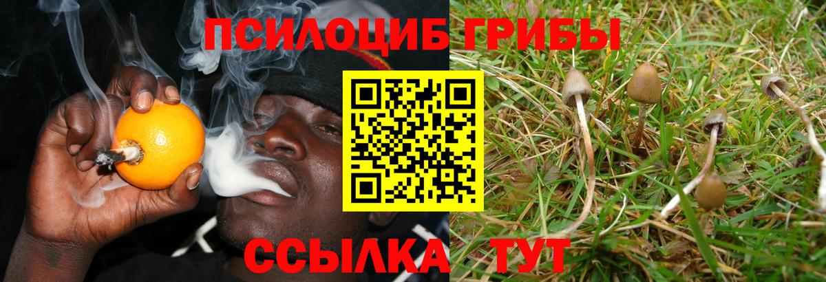 Галлюциногенные грибы Cubensis Минеральные Воды